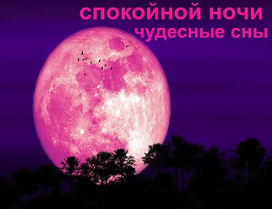 спокойной ночи screenshot 1