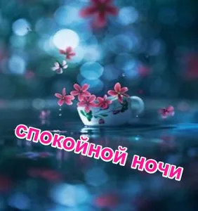 спокойной ночи screenshot 2