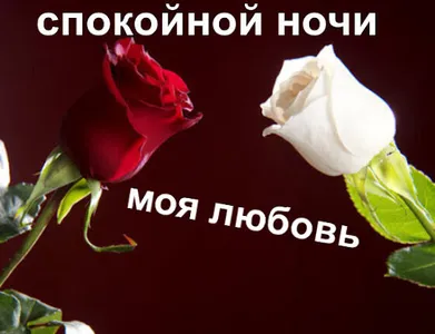 спокойной ночи screenshot 3