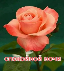 спокойной ночи screenshot 5