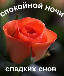 спокойной ночи screenshot 6