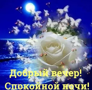 спокойной ночи screenshot 7
