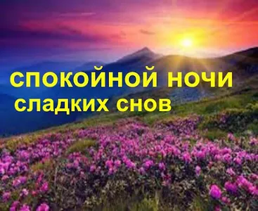 спокойной ночи screenshot 8