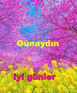 Günaydın, akşamlar ve geceler screenshot 0