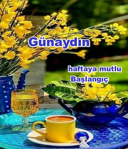 Günaydın, akşamlar ve geceler screenshot 1