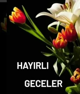 Günaydın, akşamlar ve geceler screenshot 10