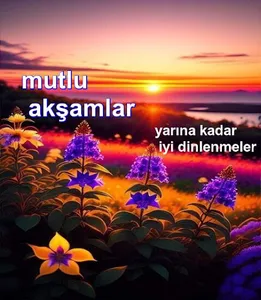 Günaydın, akşamlar ve geceler screenshot 3