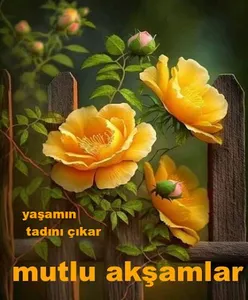 Günaydın, akşamlar ve geceler screenshot 6