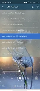 جزء قد سمع للشيخ عبد الباسط screenshot 1