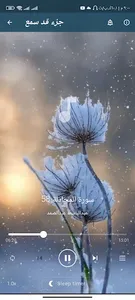 جزء قد سمع للشيخ عبد الباسط screenshot 3