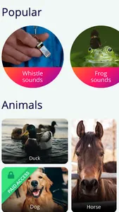 SOUNDS GALLERY screenshot 0