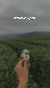 wallwowpaper screenshot 2