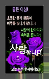 시 사랑 screenshot 4