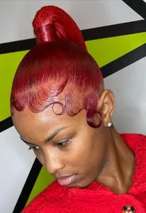 Sleek Braided Ponytail Styles screenshot 1