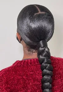 Sleek Braided Ponytail Styles screenshot 2