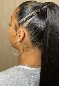 Sleek Braided Ponytail Styles screenshot 5