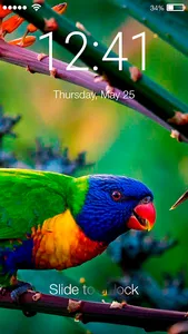 Parrot Lovebird Tropic Theme S screenshot 0