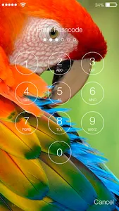 Parrot Lovebird Tropic Theme S screenshot 1