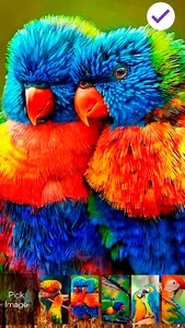 Parrot Lovebird Tropic Theme S screenshot 2
