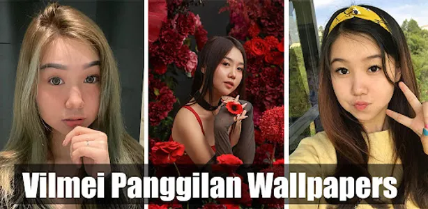 Vilmei Panggilan Wallpapers HD screenshot 0
