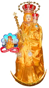 Vailankanni Shrine Live Mass screenshot 0