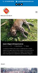 NEWS NETWORK screenshot 1