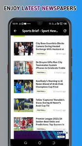 Nigerian Newspapers All - News screenshot 0