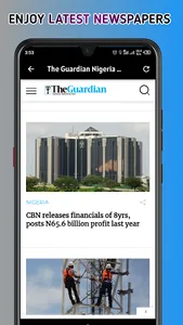 Nigerian Newspapers All - News screenshot 11