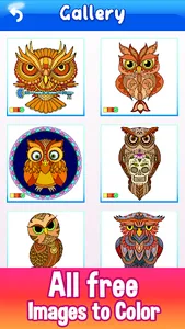 Owls Color by Number Drawings screenshot 0