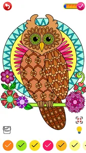Owls Color by Number Drawings screenshot 3