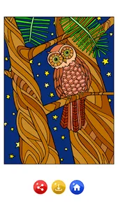 Owls Color by Number Drawings screenshot 6