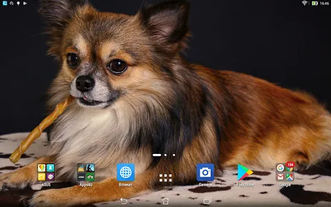 Chihuahua live wallpaper screenshot 5