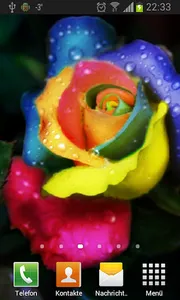 Happy Roses Live Wallpaper screenshot 4