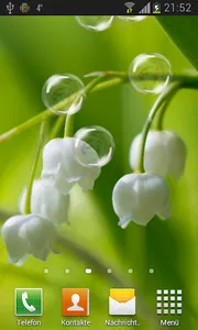 May-lily Live Wallpaper screenshot 0