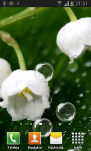 May-lily Live Wallpaper screenshot 1