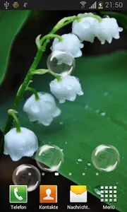 May-lily Live Wallpaper screenshot 2