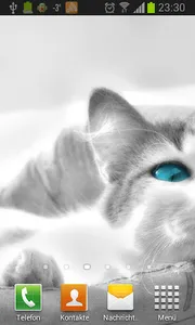 White Cats Live Wallpaper screenshot 1