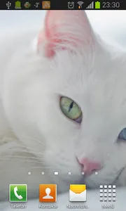 White Cats Live Wallpaper screenshot 2