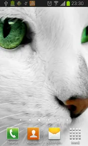 White Cats Live Wallpaper screenshot 3