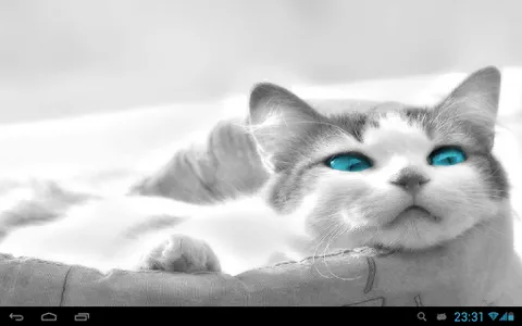 White Cats Live Wallpaper screenshot 7