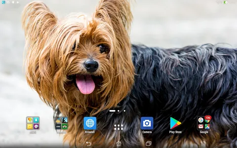 Yorkshire Terrier live wallpap screenshot 4