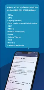 NormasFinancieras.com screenshot 18