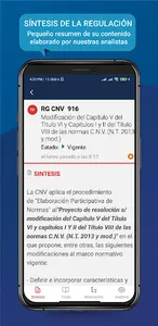 NormasFinancieras.com screenshot 20