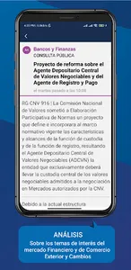 NormasFinancieras.com screenshot 6