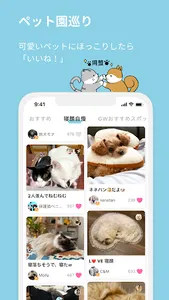 Pet screenshot 1
