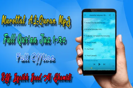 AL Ghamdi Full Quran MP3 Offli screenshot 3