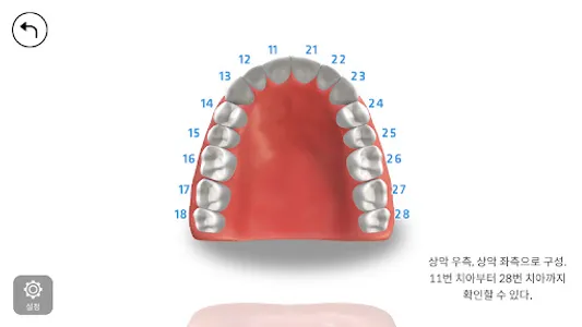 AR-D Morphology screenshot 3