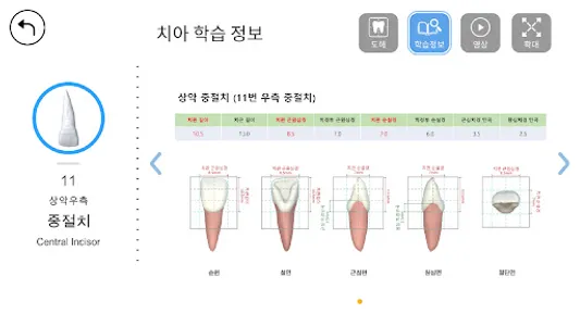 AR-D Morphology screenshot 4