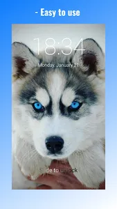 Cute Husky Puppies Lock Screen screenshot 0