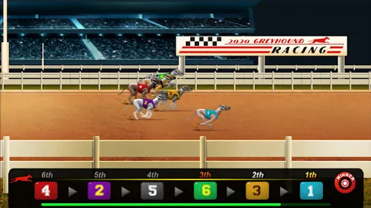 Dog Racing Betting Online screenshot 13